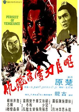 忍者2：撕裂的暗影